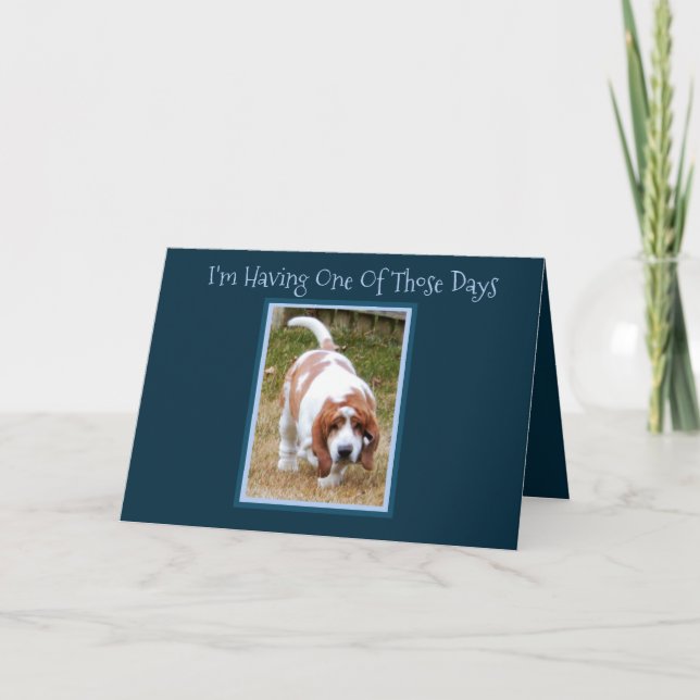 Tarjeta de cumpleaños divertida W/Cute Basset (Anverso)
