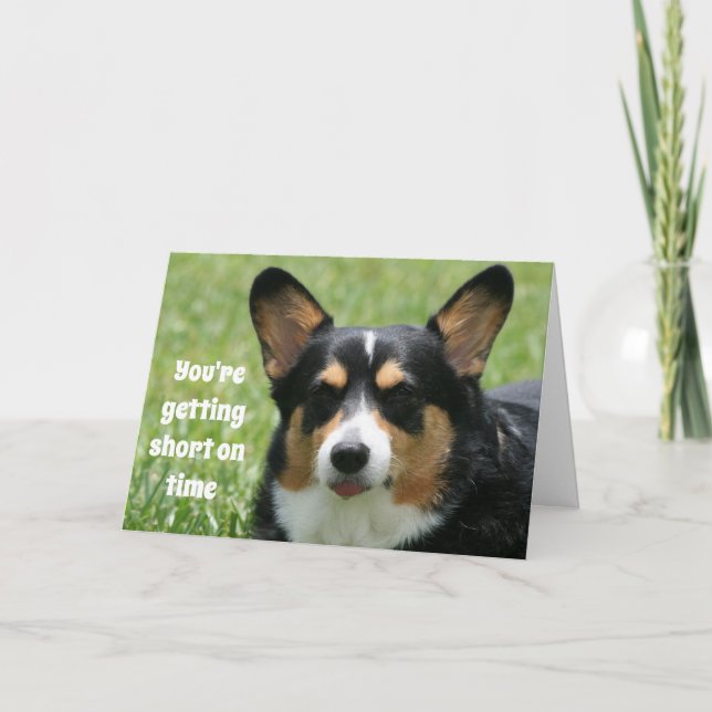 Tarjeta de cumpleaños divertida Welsh Corgi (Anverso)