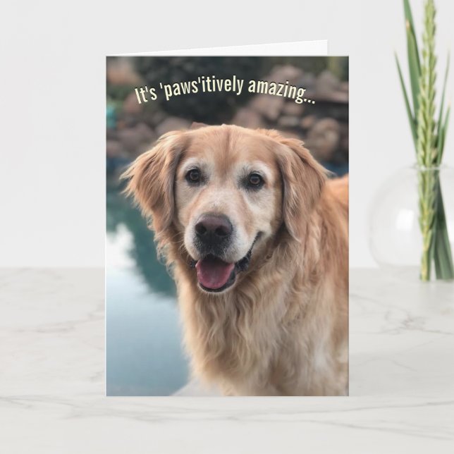 Tarjeta de cumpleaños Dog Lover (Anverso)