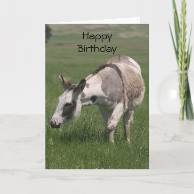 Tarjeta de cumpleaños Donkey (Anverso)
