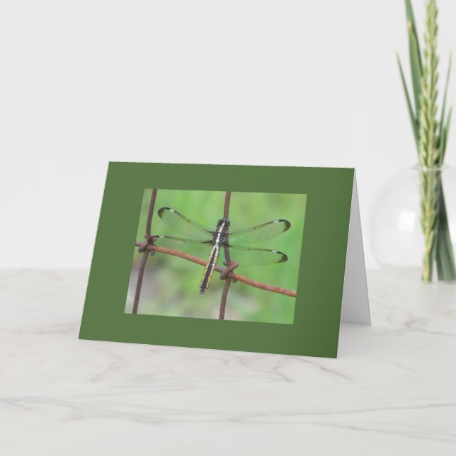 Tarjeta de cumpleaños Dragonfly (Anverso)