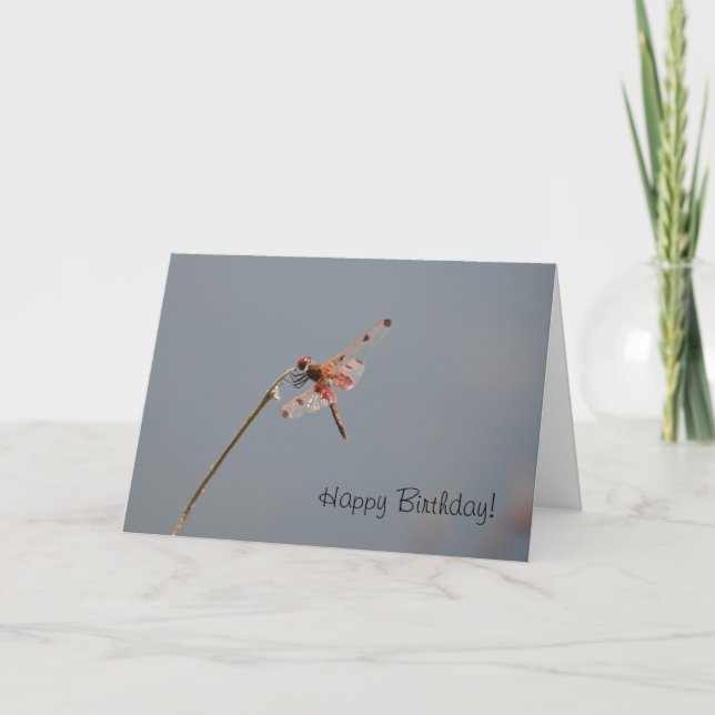 Tarjeta de cumpleaños Dragonfly (Anverso)