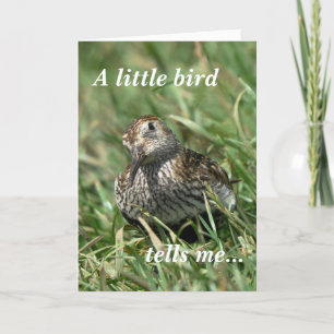 Tarjeta de cumpleaños: Dunlin