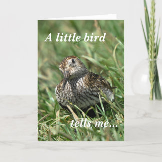 Tarjeta de cumpleaños: Dunlin