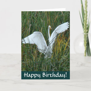 Tarjeta de cumpleaños Egret Happy