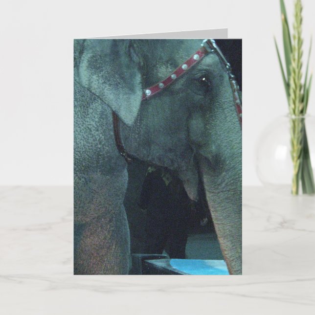 Tarjeta de cumpleaños ELEPHANT (Anverso)