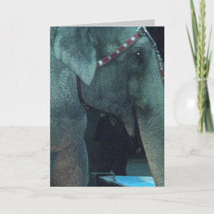 Tarjeta de cumpleaños ELEPHANT