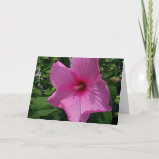 Tarjeta de cumpleaños en blanco
