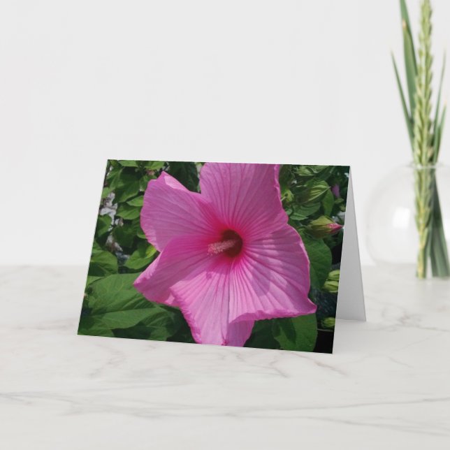 Tarjeta de cumpleaños en blanco (Anverso)