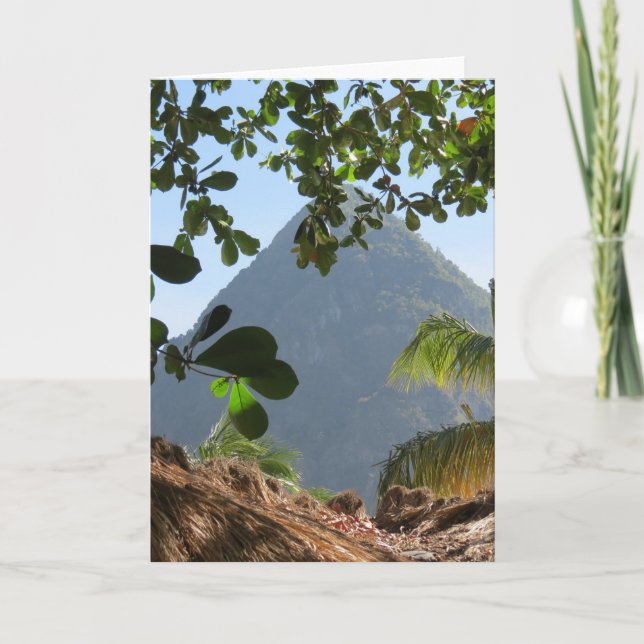 Tarjeta de cumpleaños en blanco (Anverso)