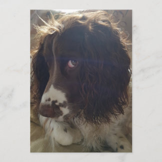 tarjeta de cumpleaños en blanco 5x7