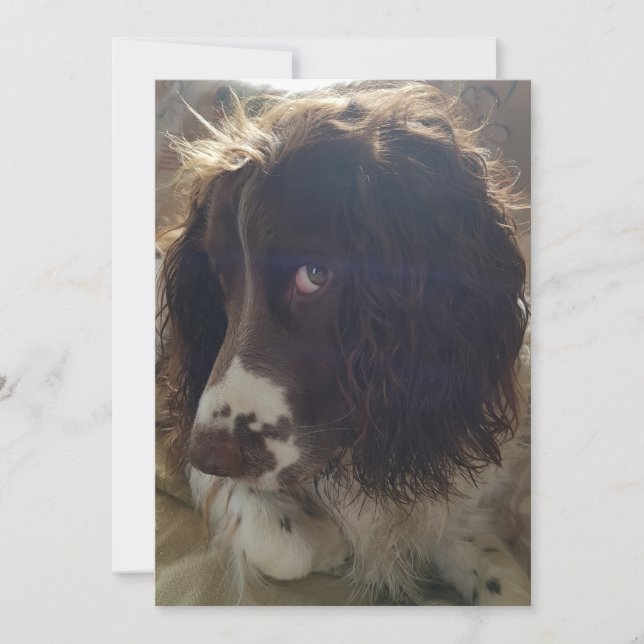 tarjeta de cumpleaños en blanco 5x7 (Anverso)