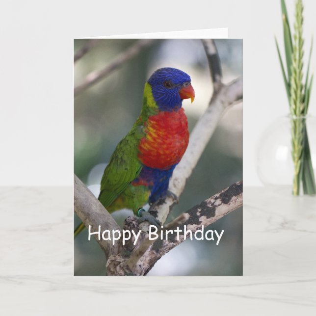 Tarjeta de cumpleaños en blanco de Lorikeet del (Anverso)