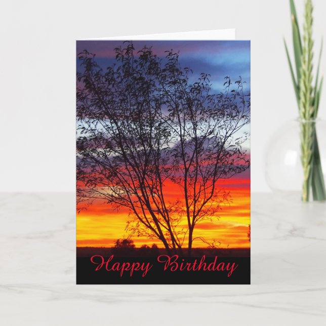 Tarjeta de cumpleaños en blanco Julia Creek sunset (Anverso)
