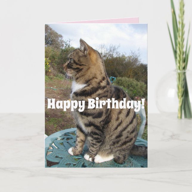 Tarjeta de cumpleaños feliz a gatos de Tabby Cute  (Anverso)