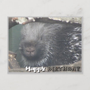 Tarjeta de cumpleaños feliz con cara de puercoespí