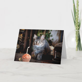 Tarjeta de cumpleaños feliz con gato