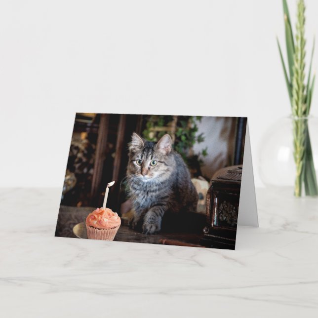 Tarjeta de cumpleaños feliz con gato (Anverso)