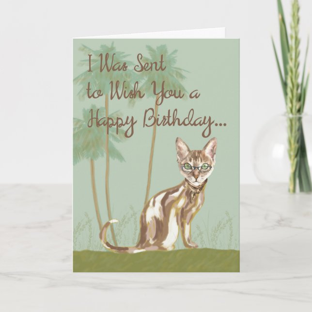 Tarjeta de cumpleaños feliz con gato, humorística (Anverso)