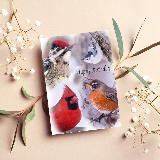 Tarjeta de cumpleaños feliz con variedad de aves (Subido por el creador)