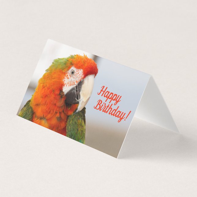 Tarjeta de cumpleaños feliz de Camelot Macaw (Anverso)