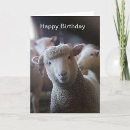 Tarjeta de cumpleaños feliz de cordero