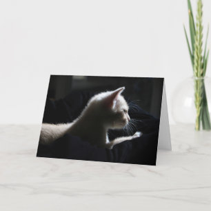 Tarjeta de cumpleaños feliz de gato