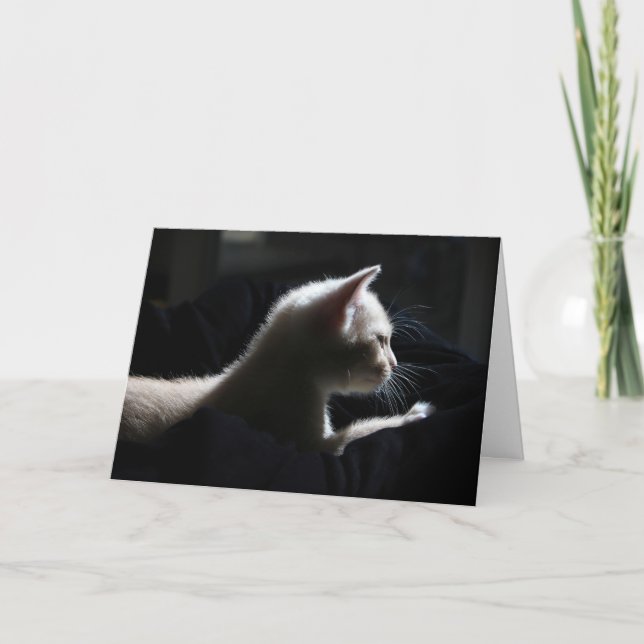 Tarjeta de cumpleaños feliz de gato (Anverso)