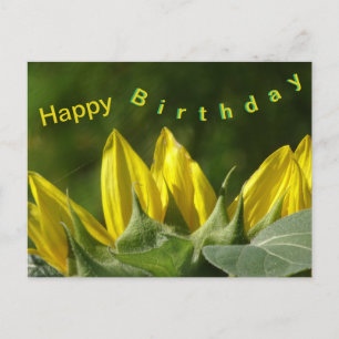 Tarjeta de cumpleaños feliz de girasol