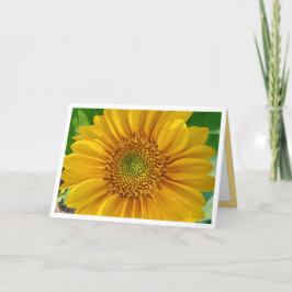 Tarjeta de cumpleaños feliz de girasol