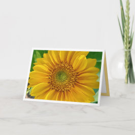 Tarjeta de cumpleaños feliz de girasol