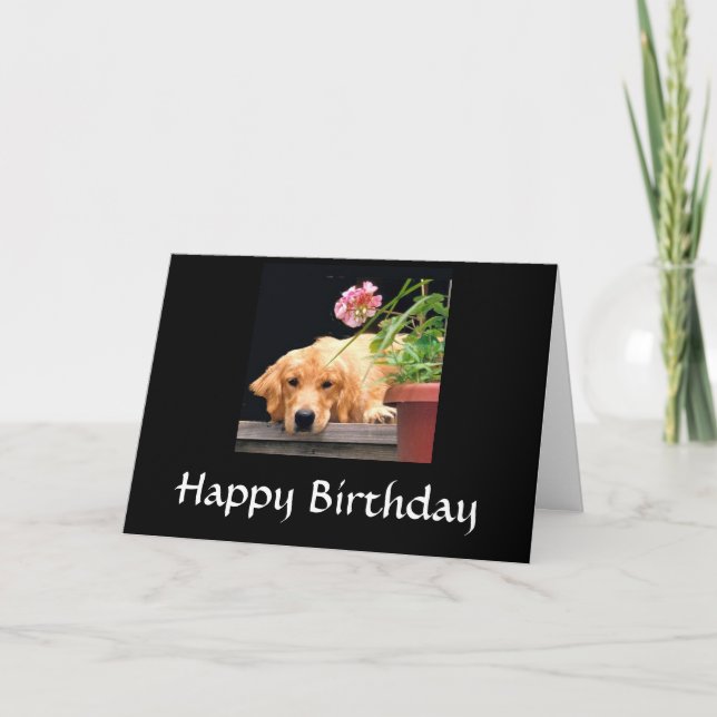 Tarjeta de cumpleaños feliz de Golden Retriever (Anverso)