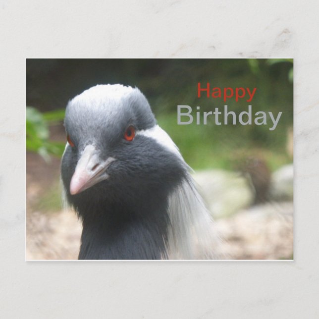 Tarjeta de cumpleaños feliz de grulla linda (Anverso)