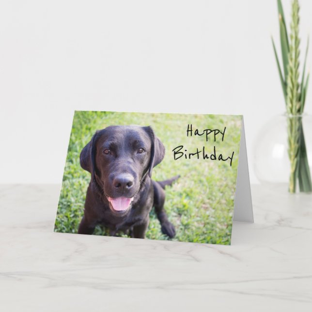 Tarjeta de cumpleaños feliz de Labrador negro (Anverso)