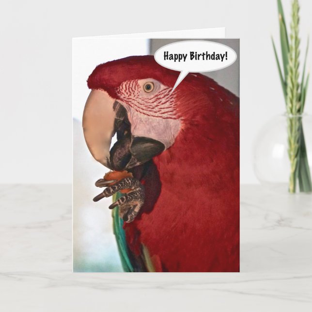 Tarjeta de cumpleaños feliz de loro de Macaw (Anverso)