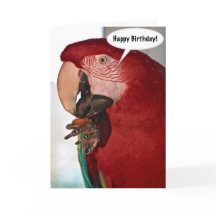 Tarjeta de cumpleaños feliz de loro de Macaw