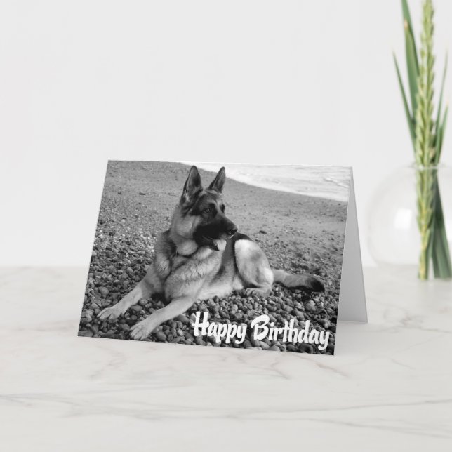 Tarjeta de cumpleaños feliz de perro pastor de pas (Anverso)