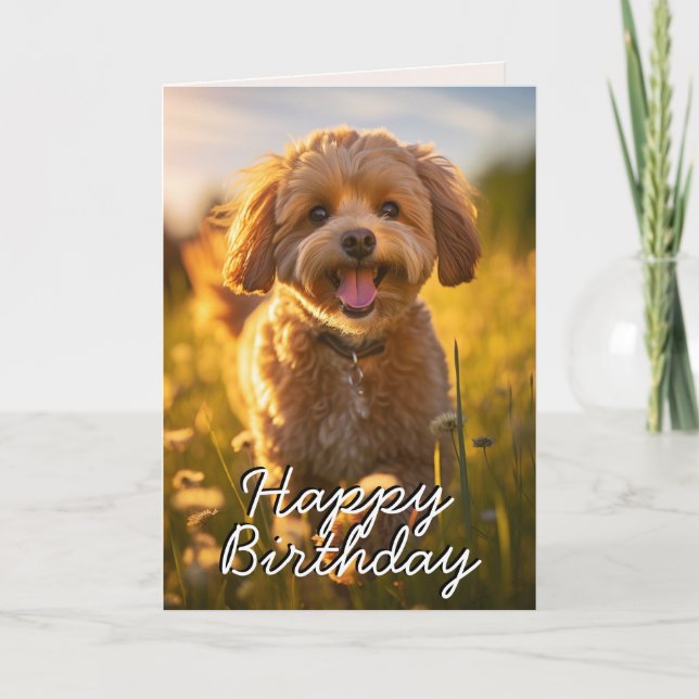 Tarjeta de cumpleaños feliz de personalizado Cavoo (Anverso)