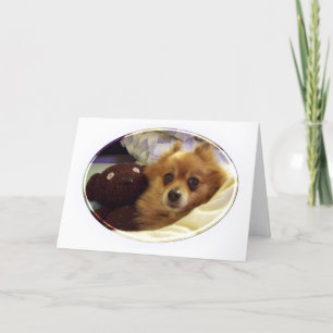 Tarjeta de cumpleaños feliz de Pomerania