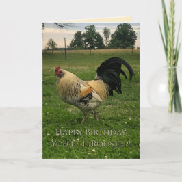 Tarjeta de cumpleaños feliz del gallo de pollo