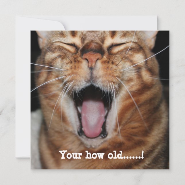 Tarjeta de cumpleaños feliz del gato de Bengala "T (Anverso)