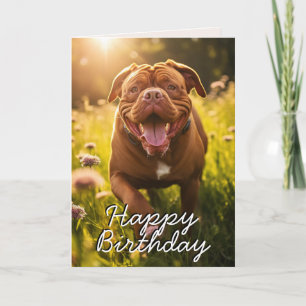 Tarjeta de cumpleaños feliz del personalizado Dogu