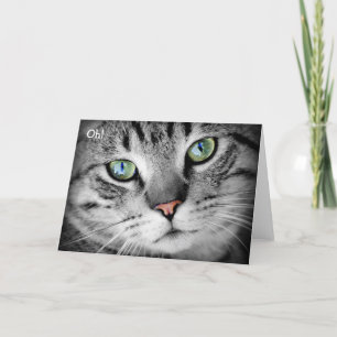 Tarjeta de cumpleaños feliz: El gato dice "¡Oh!"