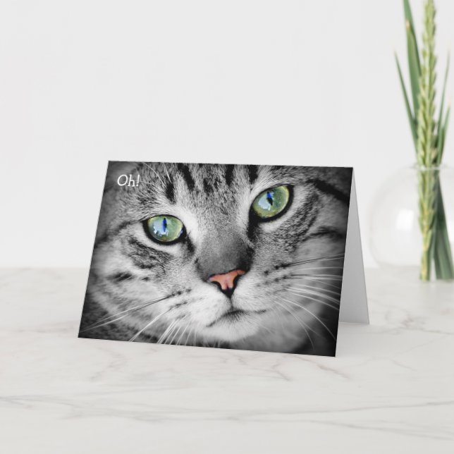 Tarjeta de cumpleaños feliz: El gato dice "¡Oh!" (Anverso)