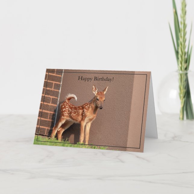 Tarjeta de cumpleaños feliz Fawn de cola blanca (Anverso)