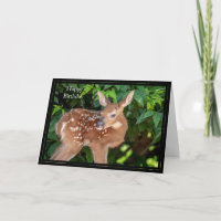 Tarjeta de cumpleaños feliz Fawn de cola blanca