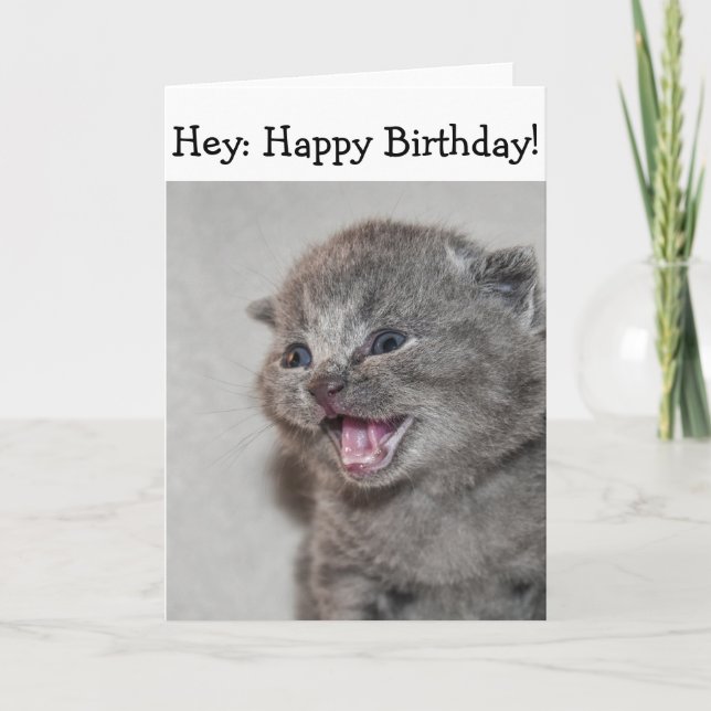 Tarjeta de cumpleaños feliz: Gatito gris sorprendi (Anverso)