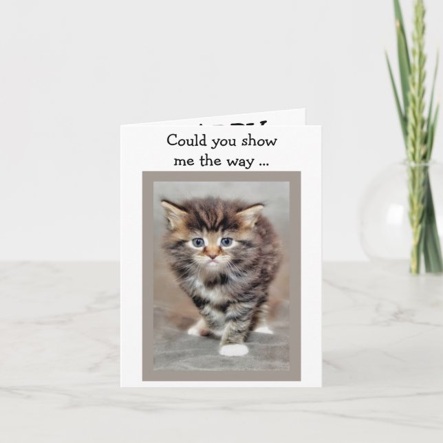 Tarjeta de cumpleaños feliz: Gatito perdido (Anverso)