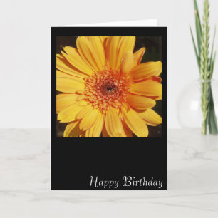 Tarjeta de cumpleaños feliz Gerbera
