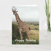 Tarjeta de cumpleaños feliz Giraffe